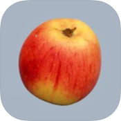 compatible apple varieties for allergy sufferers compatible apple varieties for allergy sufferers